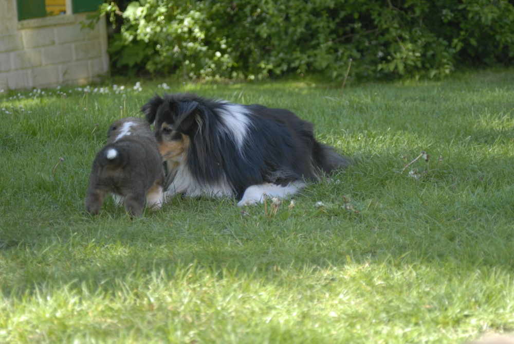 Fandzy va voir Tami sous le saule.